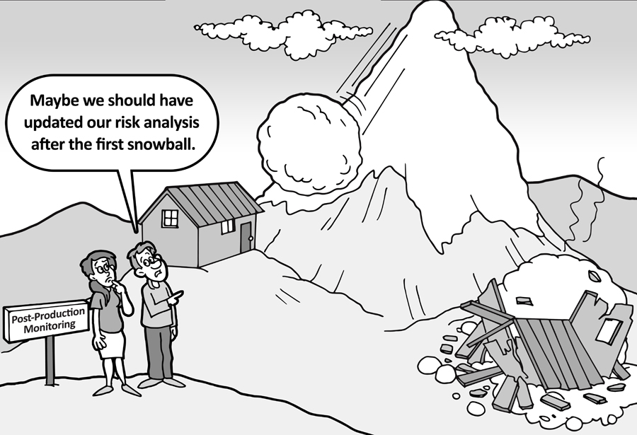 Risk Management Snowball